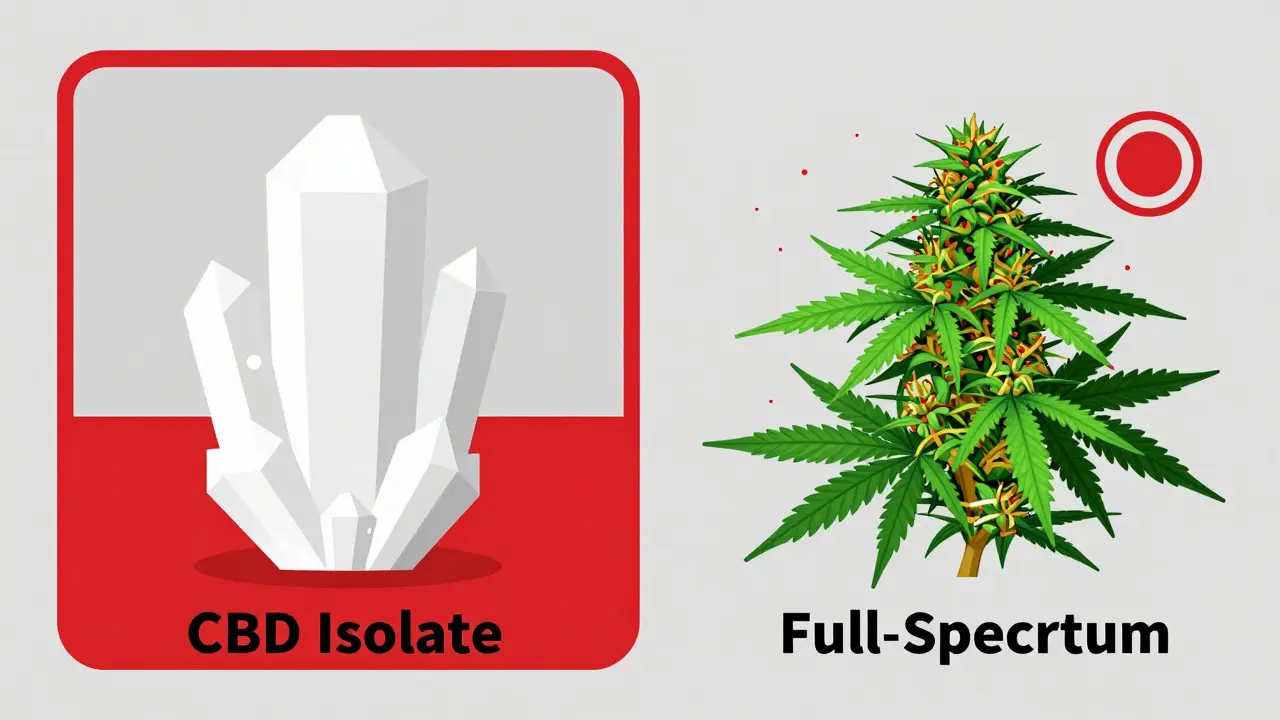 Visueller Vergleich: Reines CBD-Isolat vs. Full-Spectrum mit THC-Risiko