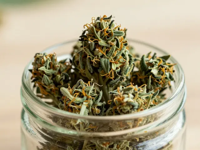 CBD-Blüten rauchen: Ist das legal und wie funktioniert es?